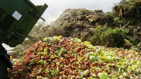 В Госдуме предложили создать систему утилизации органических отходов