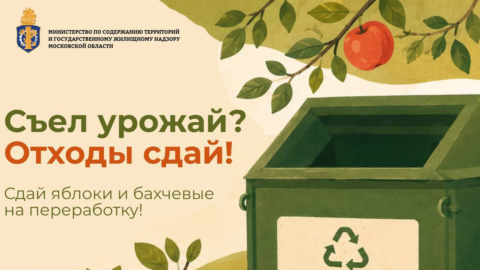 Ежегодная акция по сбору яблок и бахчевых стартует в Подмосковье 7 сентября