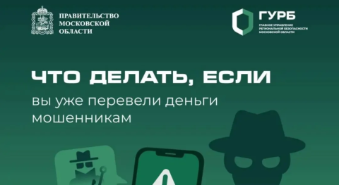 Что делать сразу после перевода денег мошенникам: алгоритм действий