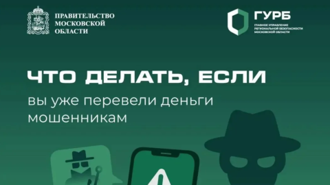 Что делать сразу после перевода денег мошенникам: алгоритм действий