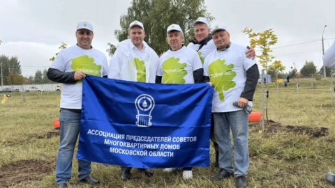 Акция по высадке деревьев в Коломне